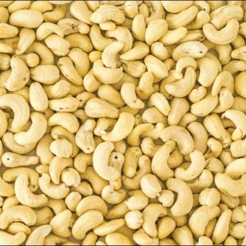 Agri Export for abundant income... Successful strategies! Part 11
