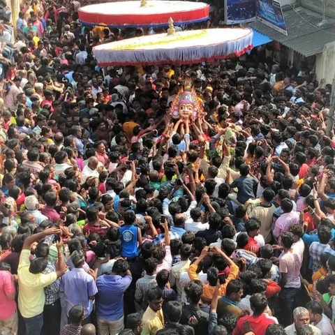 ‘பக்தர்கள் வெள்ளத்தில் பவனிவந்த கெங்கையம்மன் சிரசு!’ - குடியாத்தத்தில் கோலாகலம்