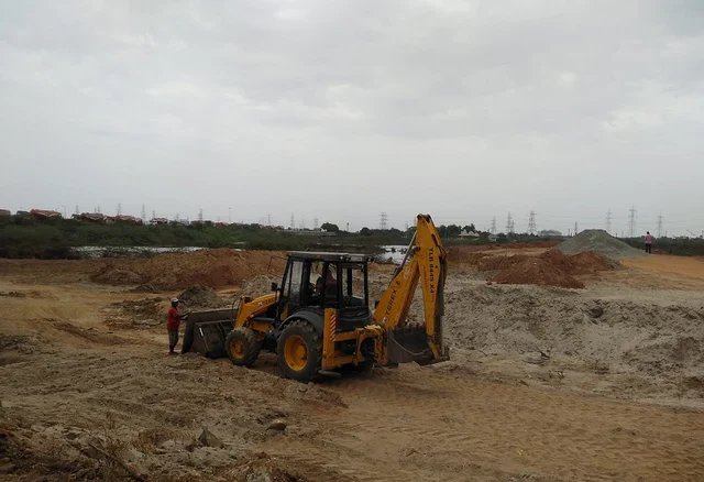 சதுப்புநில ஆக்கிரமிப்பு