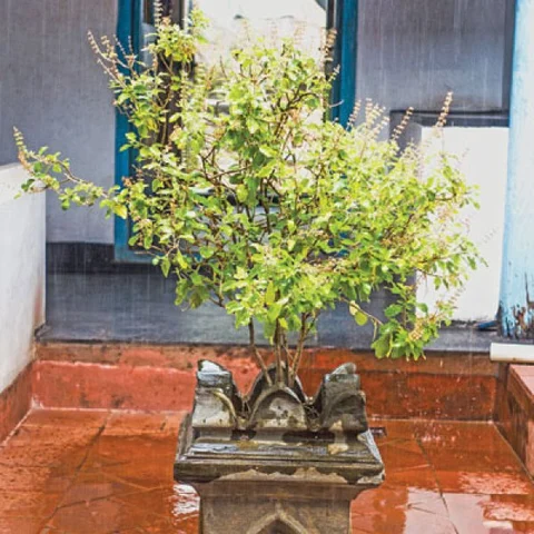 கேள்வி - பதில்: ஹோமம் வளர்க்க இரும்பு குண்டங்களைப் பயன்படுத்தலாமா?