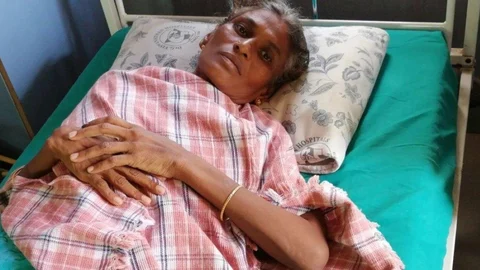வள்ளி