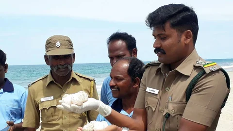 எர்த் ஹீரோஸ் விருதுக்கு தேரவாகியுள்ள சதீஷ்