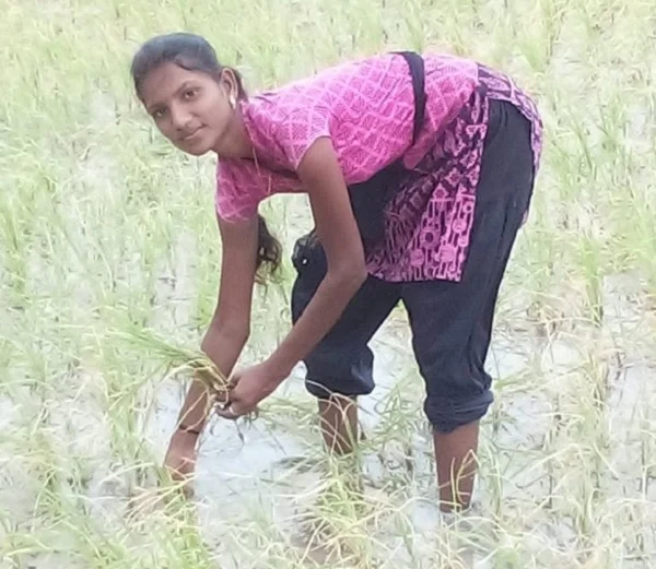 `இதுக்கு ஏன்பா கவலைப்படுற நான் இருக்கேன்’ - தனி ஆளாக 1 ஏக்கர் நிலத்தில் நடவு செய்த கல்லூரி மாணவி