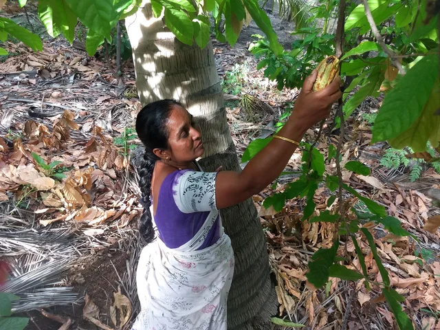 அடர்வனத்தில் கிருஷ்ணவேணி