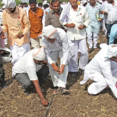 திருட்டுத்தனமாக நுழையும் பி.டி கத்திரி!
