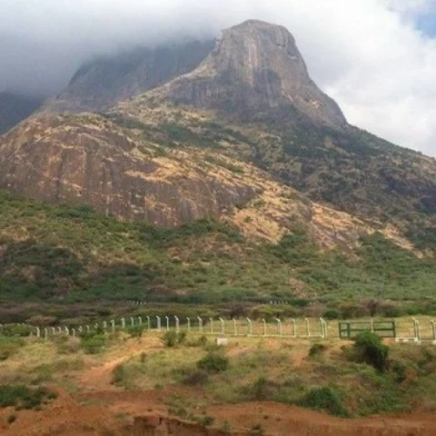 அம்பரப்பர் மலை