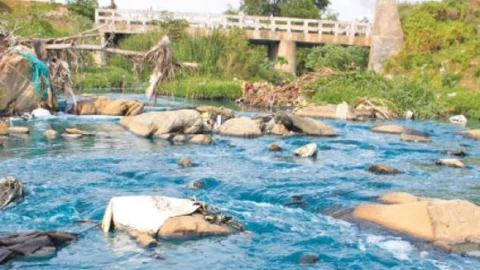 சாயக்கழிவு நீர்