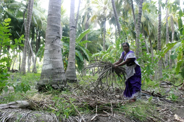 அடர்வனத்தில் கிருஷ்ணவேணி