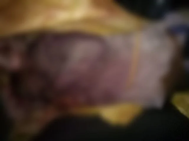 கொலை செய்யப்பட்ட பழனிவேல்