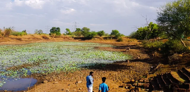 தேவந்தவாக்கம் குளம்