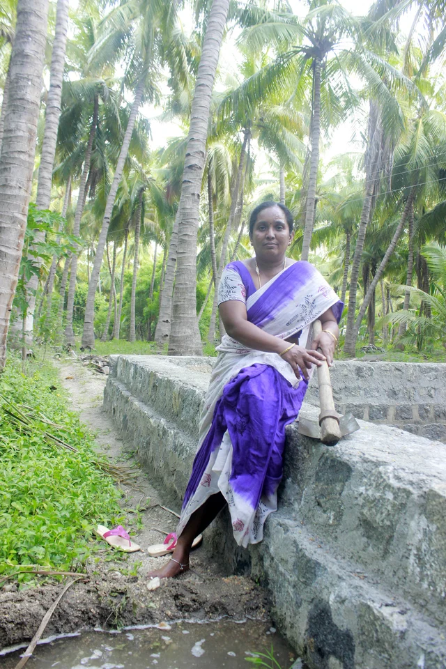 அடர்வனத்தில் கிருஷ்ணவேணி