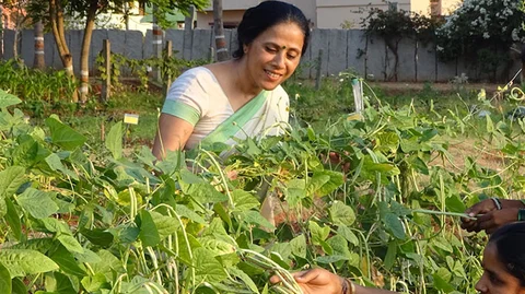 சங்கீதா சர்மா