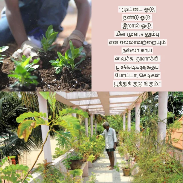 காய்கறி கழிவு, மீன் முள், முட்டை ஓடு... கிச்சன் கழிவுகளை இப்படி உரமாக்குங்கள்!