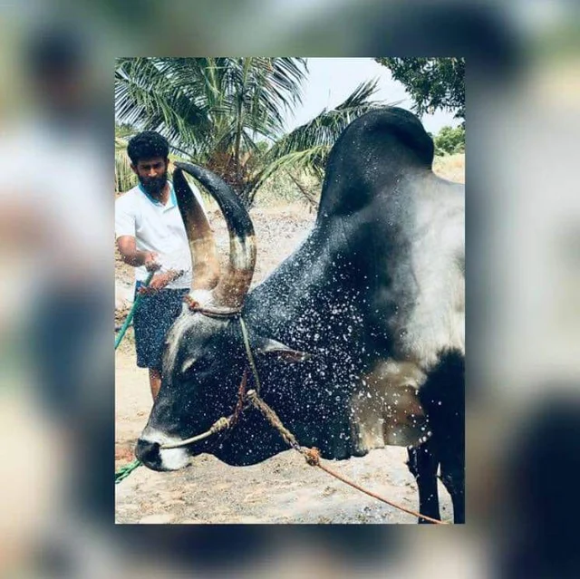 நவீன்குமார்