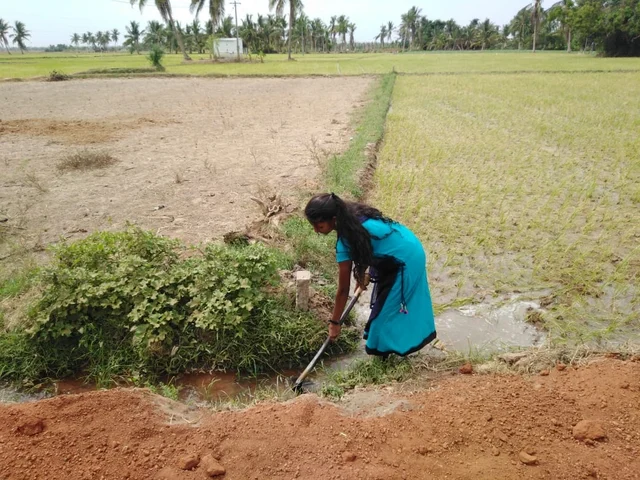 `இதுக்கு ஏன்பா கவலைப்படுற நான் இருக்கேன்’ - தனி ஆளாக 1 ஏக்கர் நிலத்தில் நடவு செய்த கல்லூரி மாணவி