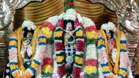 கரியமாணிக்க பெருமாள்