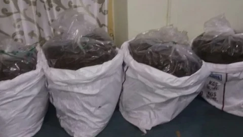 கஞ்சா