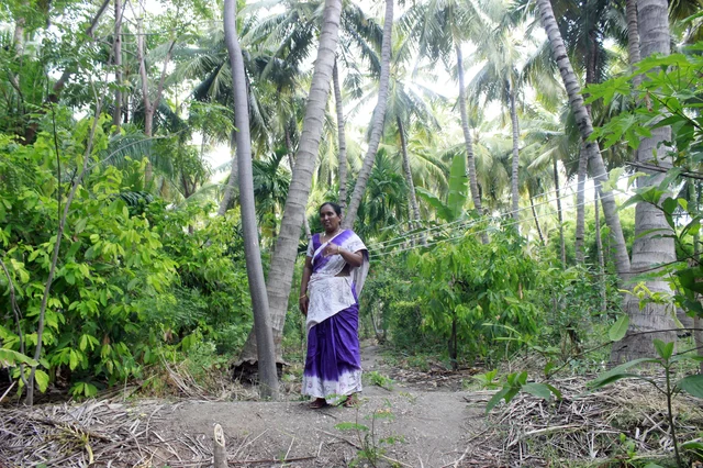 அடர்வனத்தில் கிருஷ்ணவேணி