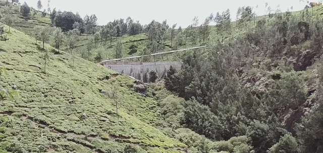 `ஒரு வாரத்தில் அணை இடிக்கப்படும்!'- தனியாருக்கு கடிவாளம் போட்ட கலெக்டர் திவ்யா