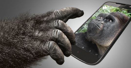 Gorilla Glass