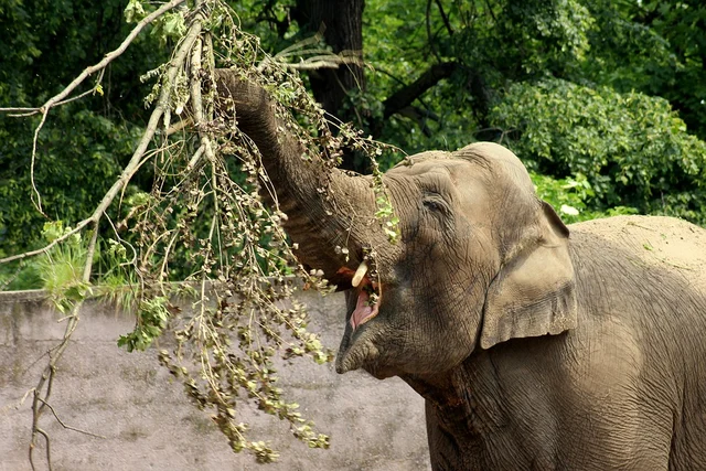 உணவுப் போராட்டம்