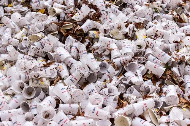 ரூ.200 கோடியில் திருமணம்; 4,000 கிலோ குப்பைகள் - ஆலி நகராட்சியை விழிபிதுங்க வைத்த குப்தா குடும்பம்