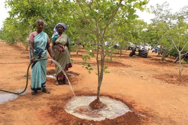 தண்ணீர் ஊற்றும் பெண்கள்