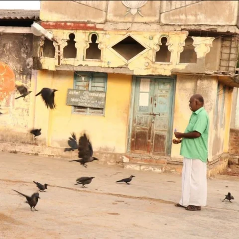 `இவர்தான் நிஜ ஹீரோ' - பறவைகளுக்கும் உணவளித்து உயர்ந்து நிற்கும் உக்கிரபாண்டியன்!