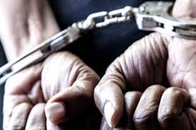 கோழி இறகுகளால் சிக்கிய கொலையாளி! - இளம்பெண் கொலையில் திடீர் திருப்பம்