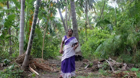 அடர்வனத்தில் கிருஷ்ணவேணி
