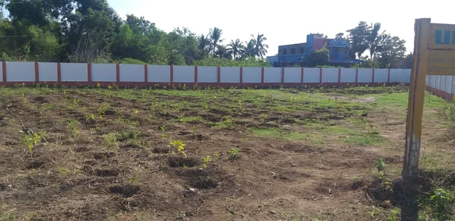 அடர் நடவு முறையில் குறுங்காடு