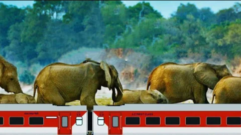 விபத்துகளில் யானைகள் இறப்பதைத் தடுத்த ரயில்வேயின் செம ஐடியா!