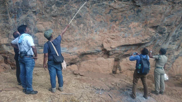 கரிக்கையூர் பாறை ஓவியங்கள் - வனத்துறையினர் உதவியுடன் களமிறங்கிய தொல்லியல்துறை!
