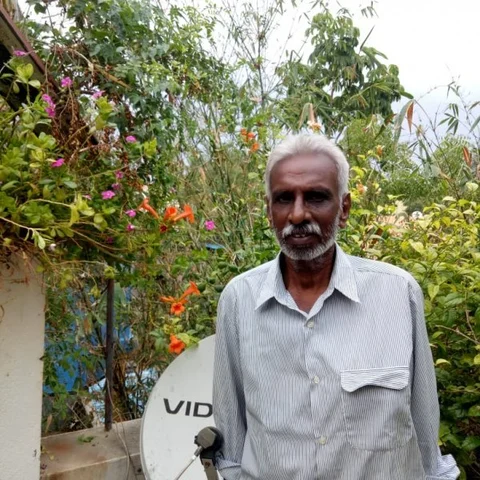 காய்கறி கழிவு, மீன் முள், முட்டை ஓடு... கிச்சன் கழிவுகளை இப்படி உரமாக்குங்கள்!