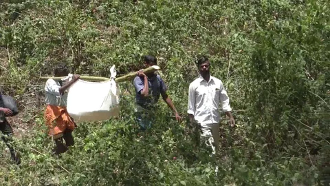 யானை தாக்கி இறந்த முதியவர்
