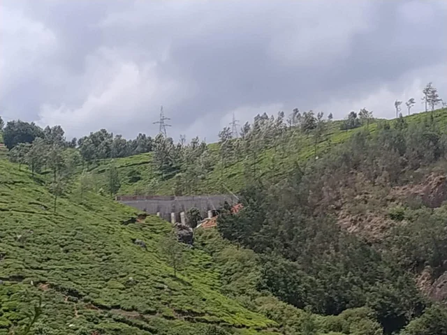`ஒரு வாரத்தில் அணை இடிக்கப்படும்!'- தனியாருக்கு கடிவாளம் போட்ட கலெக்டர் திவ்யா