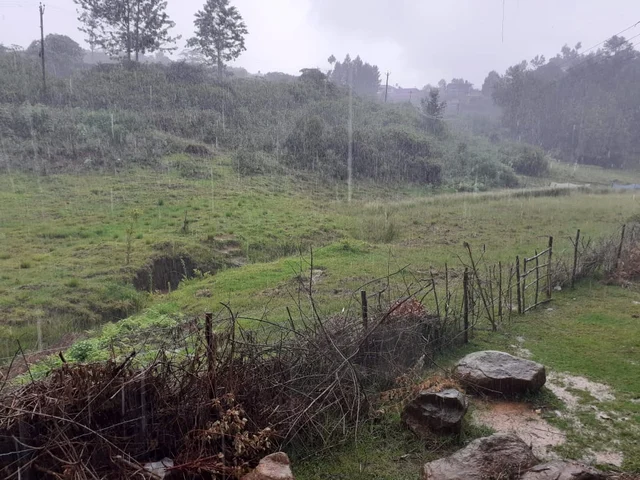 மீட்கப்பட்ட சதுப்பு நிலம்