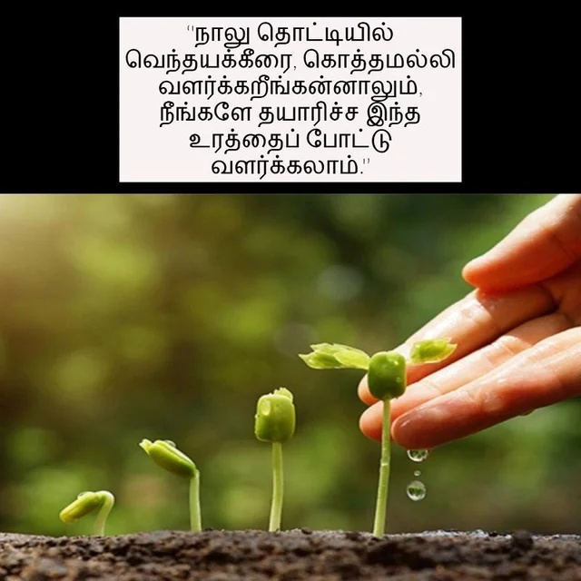 காய்கறி கழிவு, மீன் முள், முட்டை ஓடு... கிச்சன் கழிவுகளை இப்படி உரமாக்குங்கள்!