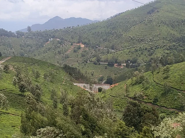 `ஒரு வாரத்தில் அணை இடிக்கப்படும்!'- தனியாருக்கு கடிவாளம் போட்ட கலெக்டர் திவ்யா