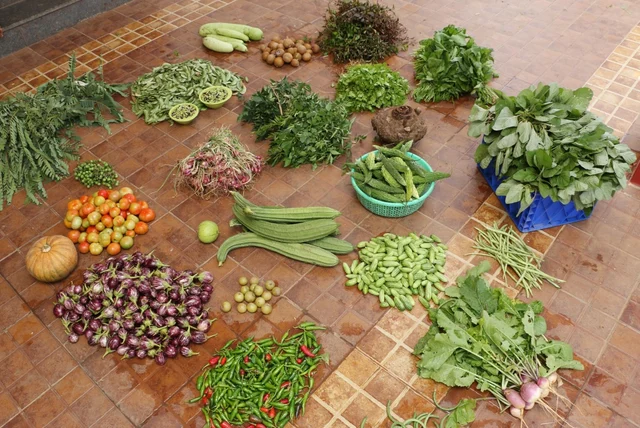 காய்கறிகள்