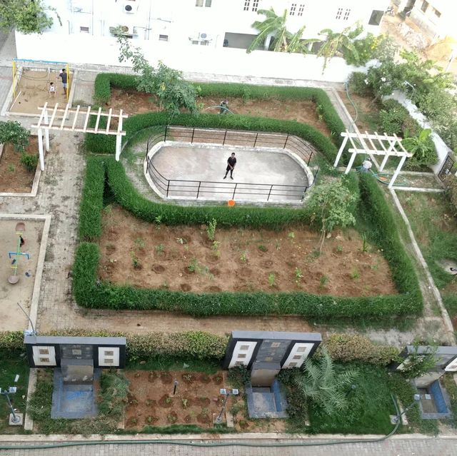 மரம் வளர்ப்பு