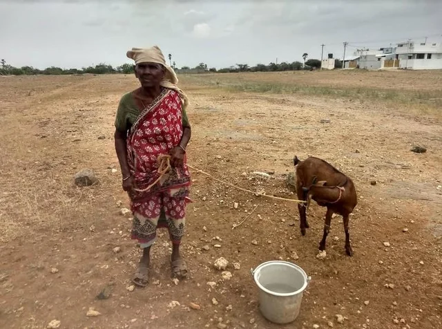 இள ஆட்டுக்கறி, காட்டுக்கோழி, கெளுத்தி மீனு... ஆச்சர்யமூட்டும் பொன்னம்மாள் பாட்டி! #LifeStartsAt40 #நலம்நாற்பது