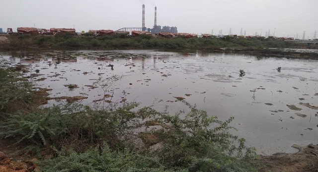 சதுப்பு நிலம்