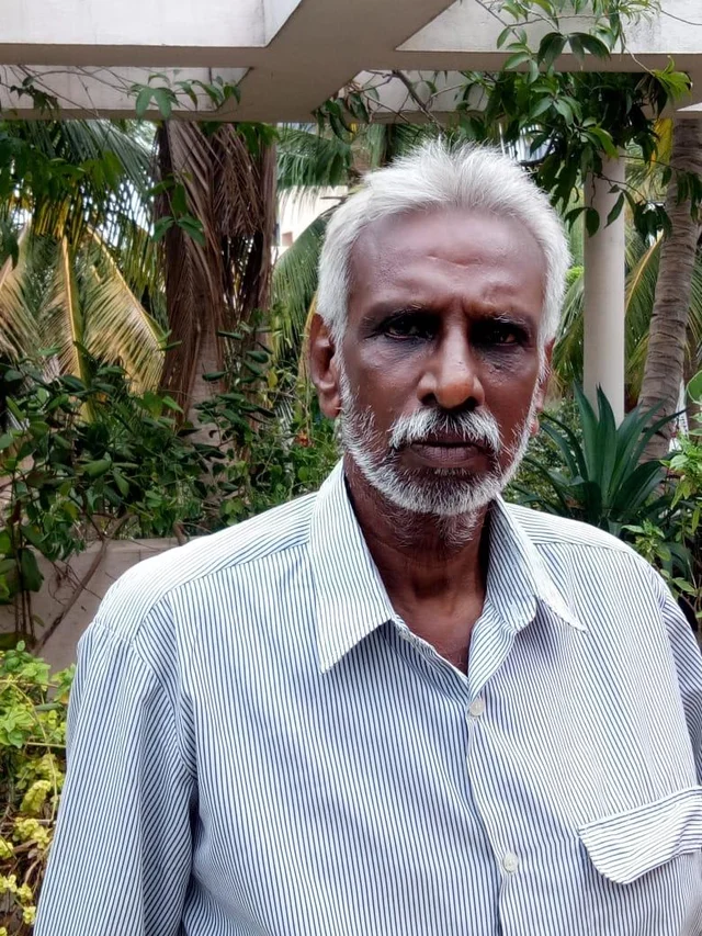 காய்கறி கழிவு, மீன் முள், முட்டை ஓடு... கிச்சன் கழிவுகளை இப்படி உரமாக்குங்கள்!