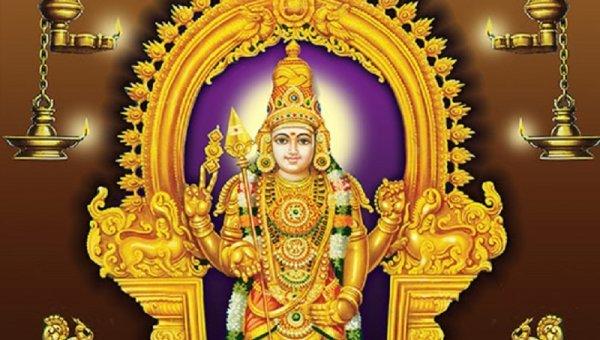 திருப்புகழ் கற்பிக்கும் வடபழநி ஆண்டவர் திருக்கோயில்!