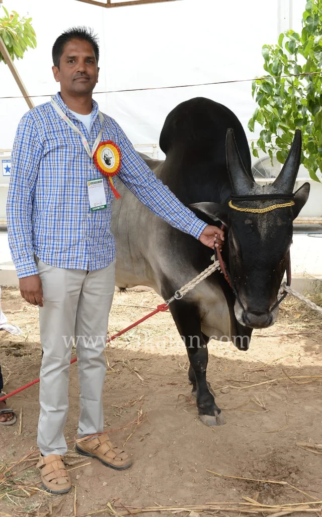 சிவக்குமார்