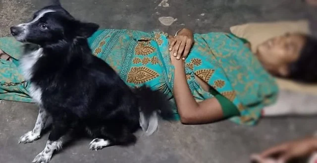 பாசப் போராட்டம் நடத்திய நாய்