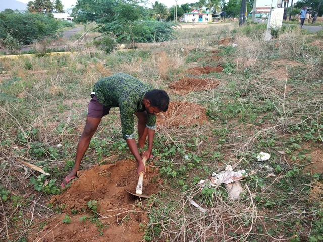 மரம் நடுவதற்கான பணிகளில்