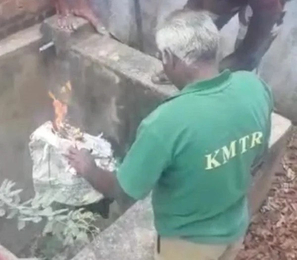 பாம்பை எரித்த வன ஊழியர்கள்