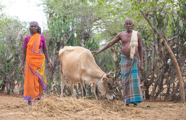 Kaaliappan - Paapayi